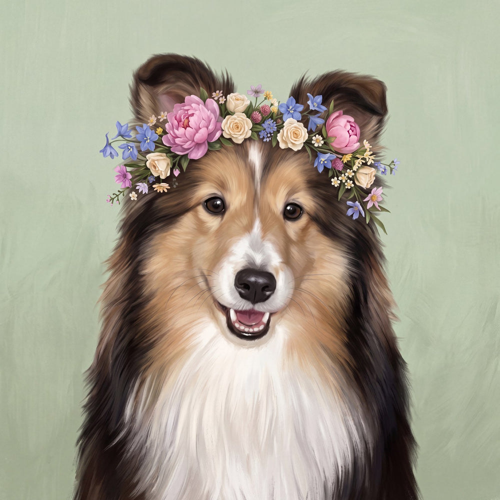 Floral portrait of Shetland Sheepdog